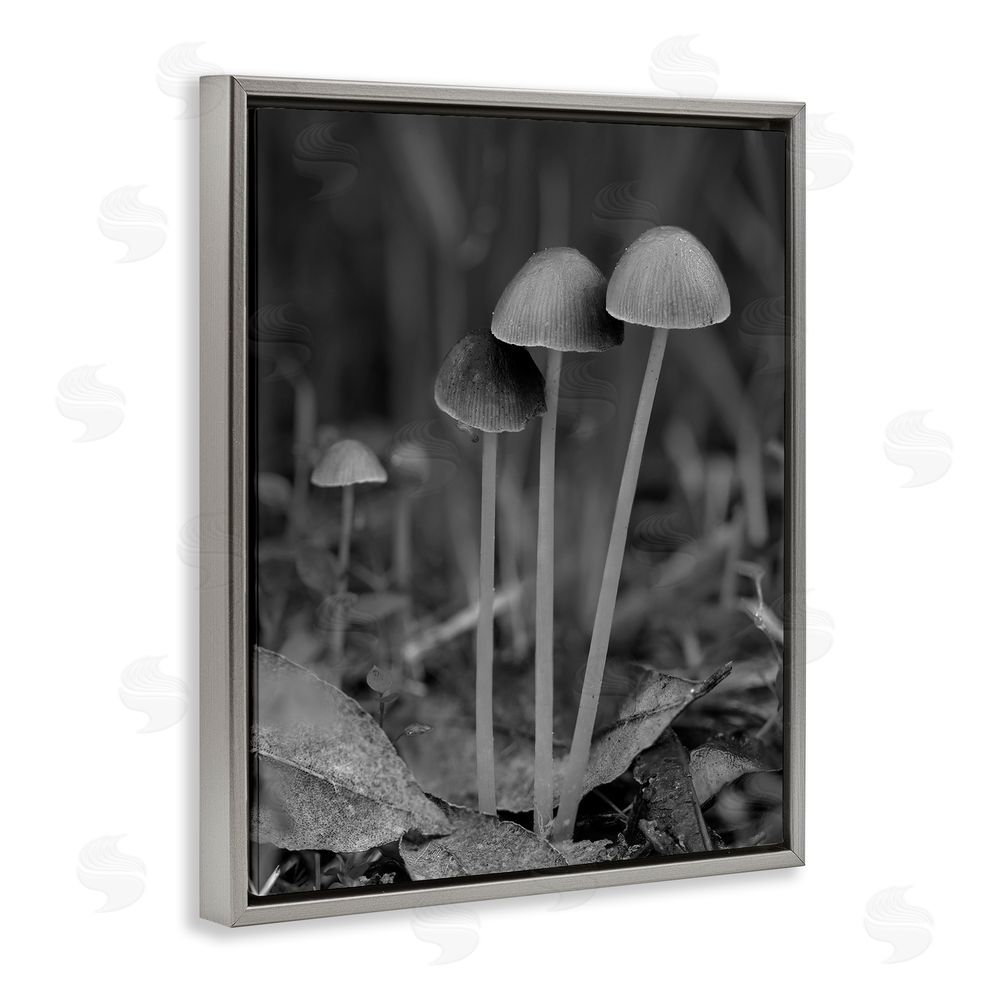 Stupell Studio Forest Mushroom Photography Grey Floating Frame Canvas Wall Art Print
