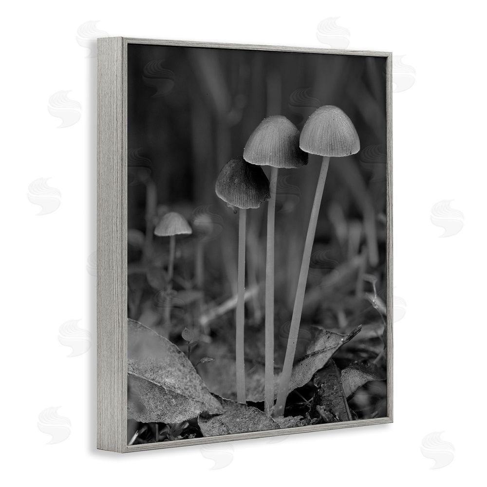 Stupell Studio Forest Mushroom Photography Gray Framed Giclee Wall Art Print
