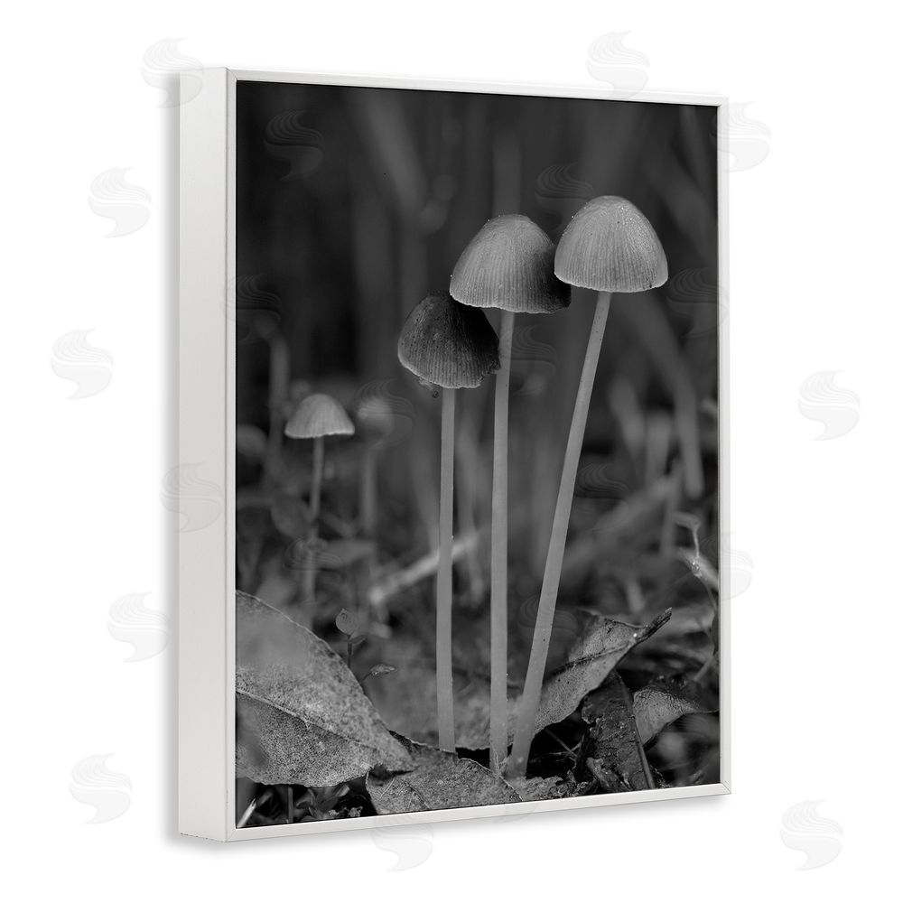 Stupell Studio Forest Mushroom Photography White Framed Giclee Wall Art Print