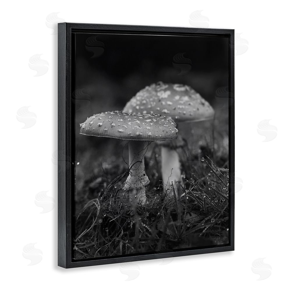 Stupell Studio Grey Mushroom Photography Black Floating Frame Canvas Wall Art Print
