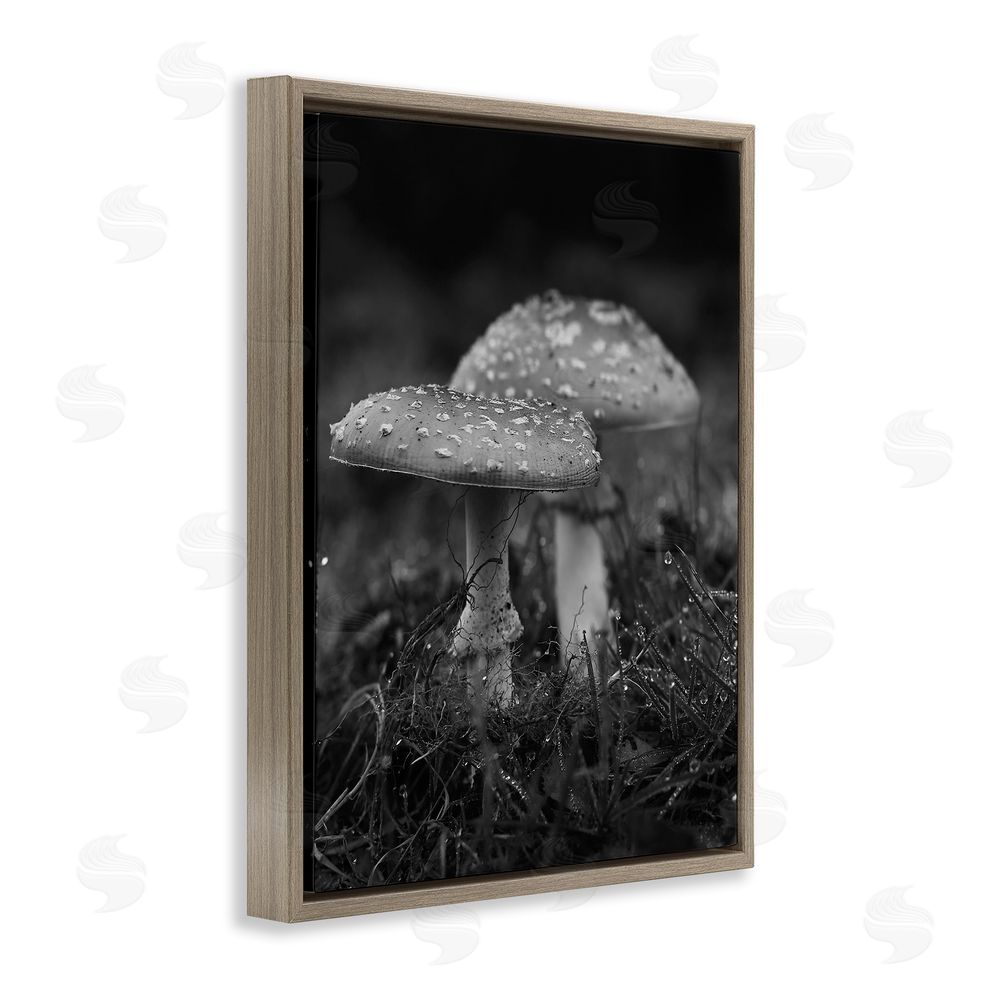 Stupell Studio Grey Mushroom Photography Brown Floating Frame Canvas Wall Art Print