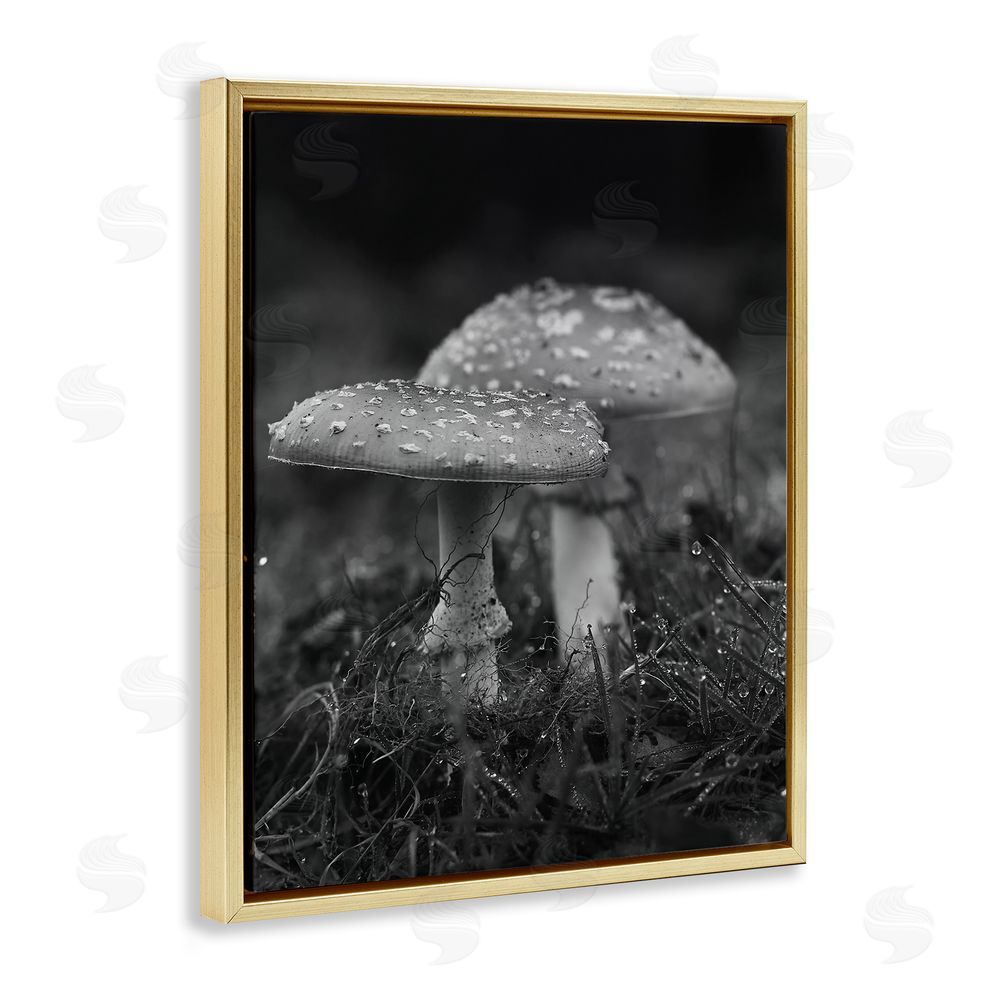Stupell Studio Grey Mushroom Photography Gold Floating Frame Canvas Wall Art Print