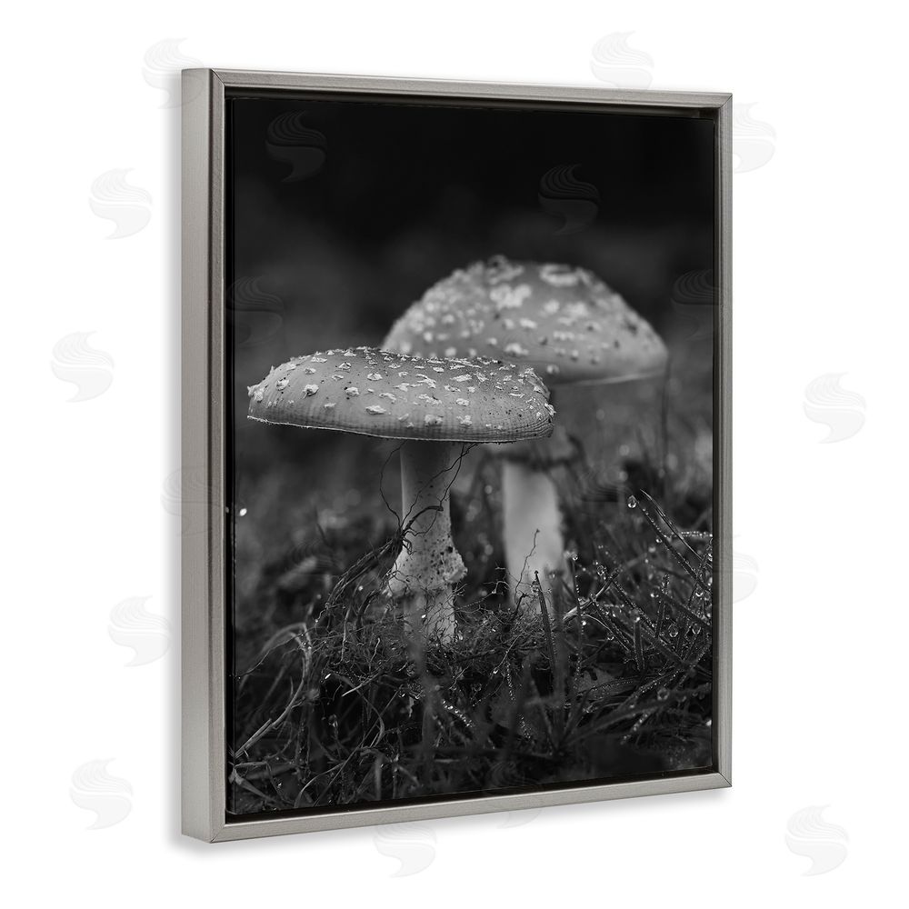 Stupell Studio Grey Mushroom Photography Grey Floating Frame Canvas Wall Art Print