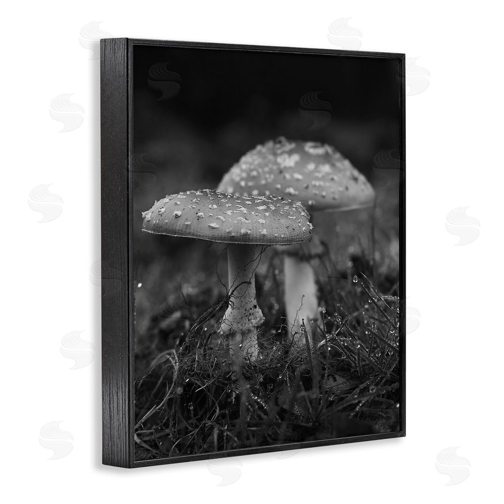Stupell Studio Grey Mushroom Photography Black Framed Giclee Wall Art Print