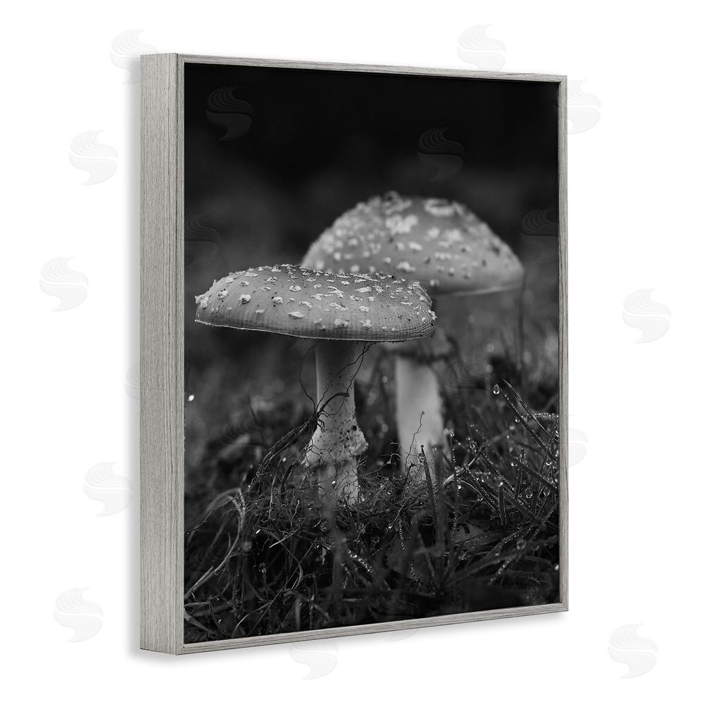 Stupell Studio Grey Mushroom Photography Gray Framed Giclee Wall Art Print