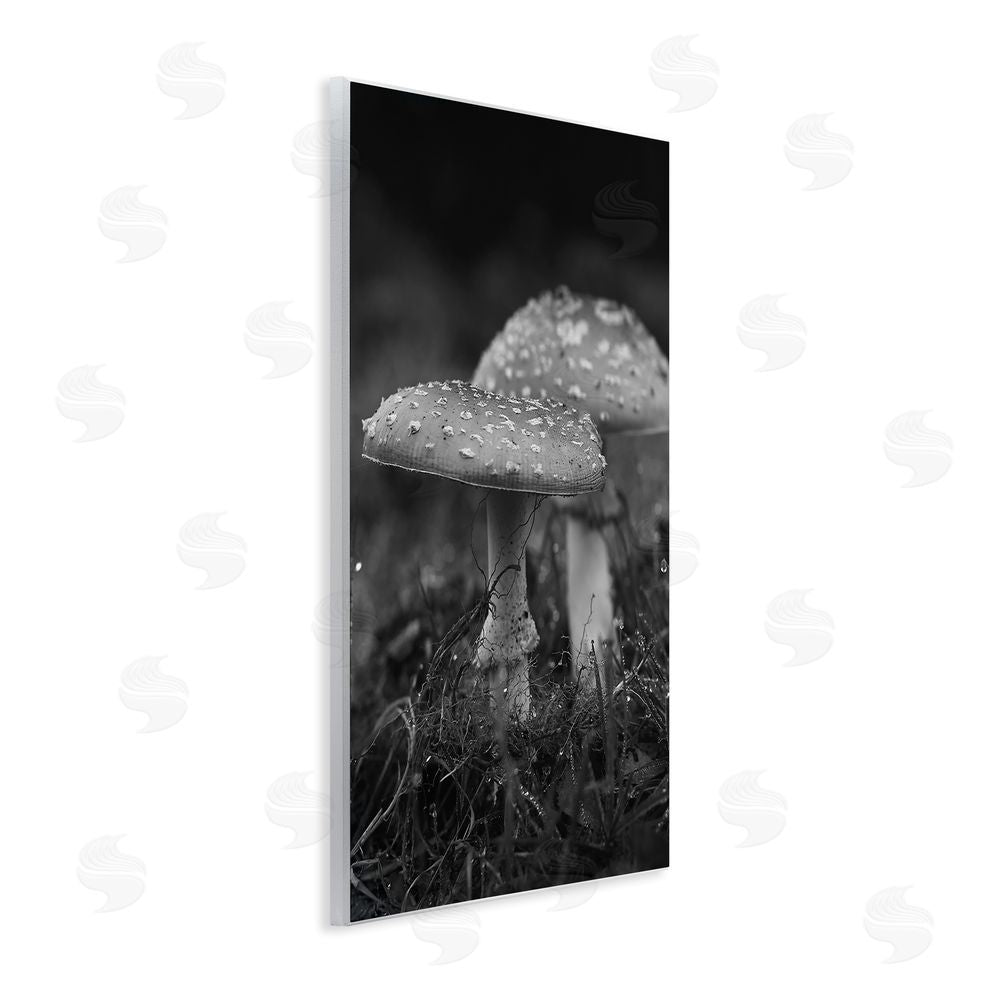 Stupell Studio Grey Mushroom Photography Wall Plaque Art Print