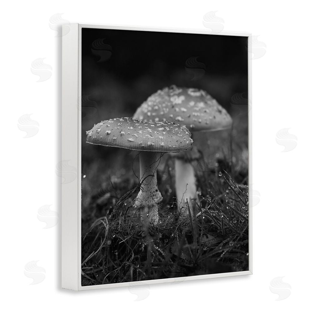 Stupell Studio Grey Mushroom Photography White Framed Giclee Wall Art Print