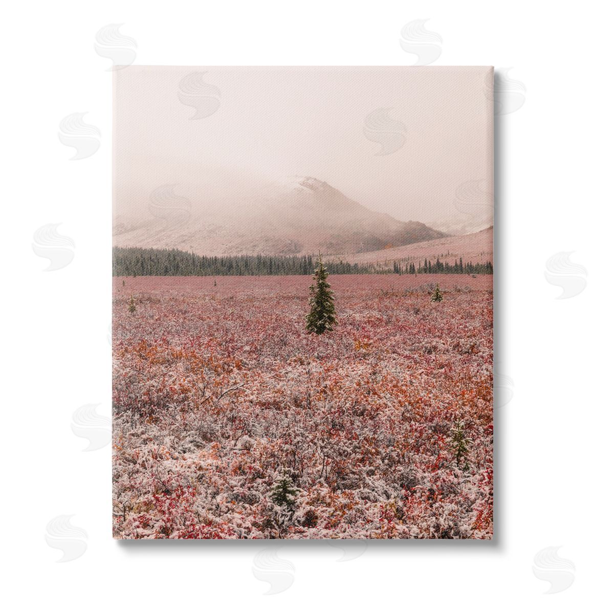 Daniel Sproul Tree in Foggy Landscape Stretched Canvas Wall Art Print