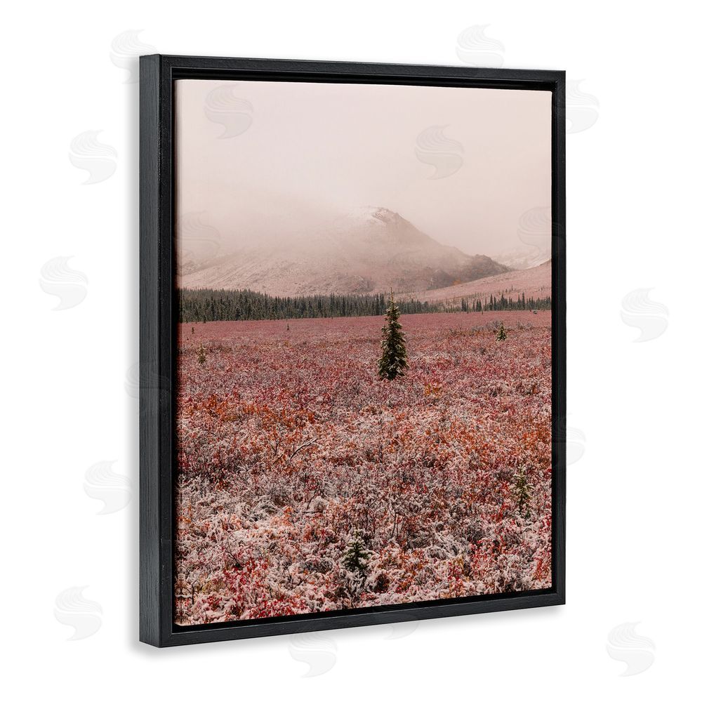 Daniel Sproul Tree in Foggy Landscape Black Floating Frame Canvas Wall Art Print
