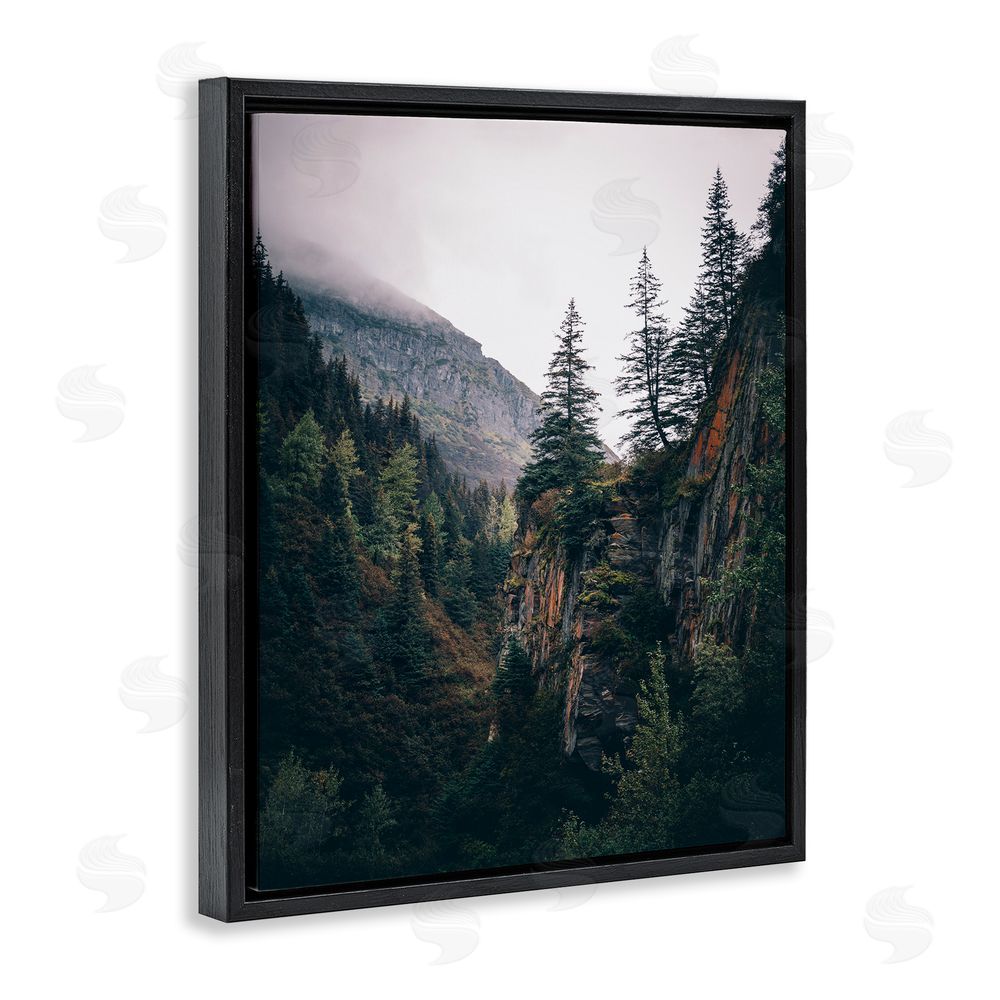 Daniel Sproul Rustic Mountain Landscape Black Floating Frame Canvas Wall Art Print