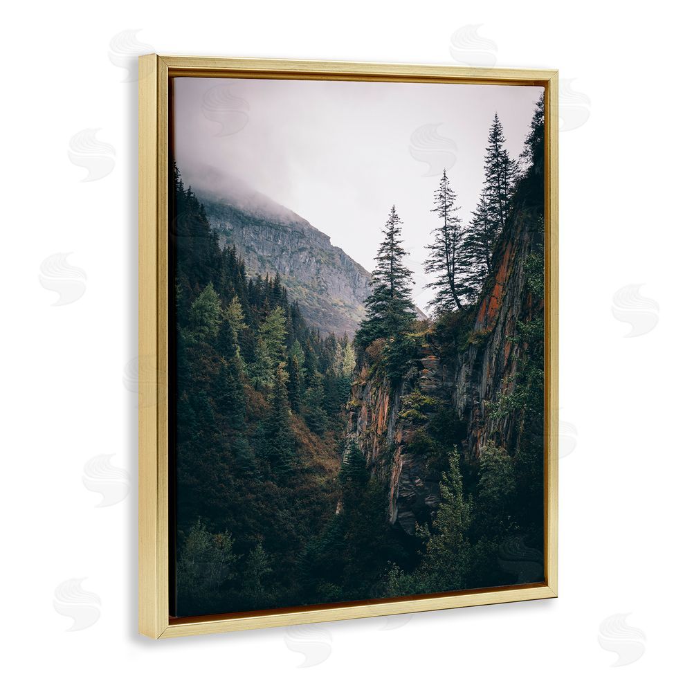 Daniel Sproul Rustic Mountain Landscape Gold Floating Frame Canvas Wall Art Print