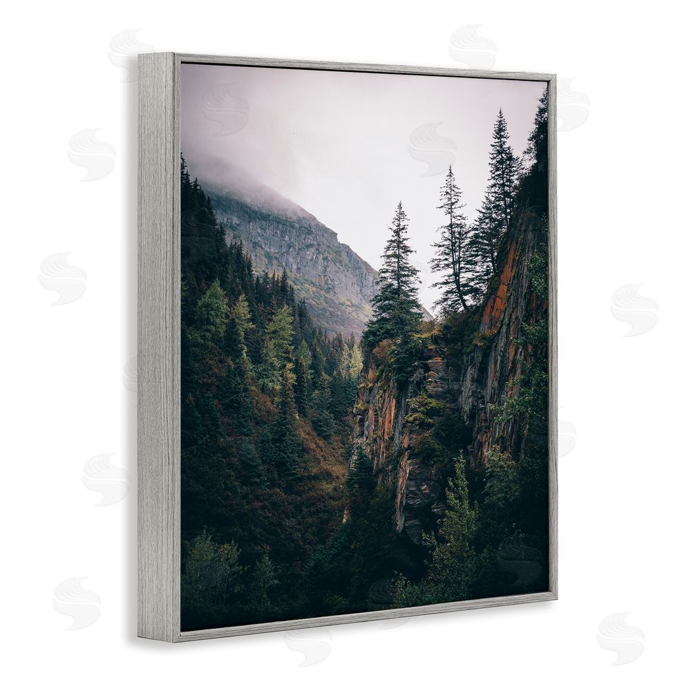 Daniel Sproul Rustic Mountain Landscape Gray Framed Giclee Wall Art Print