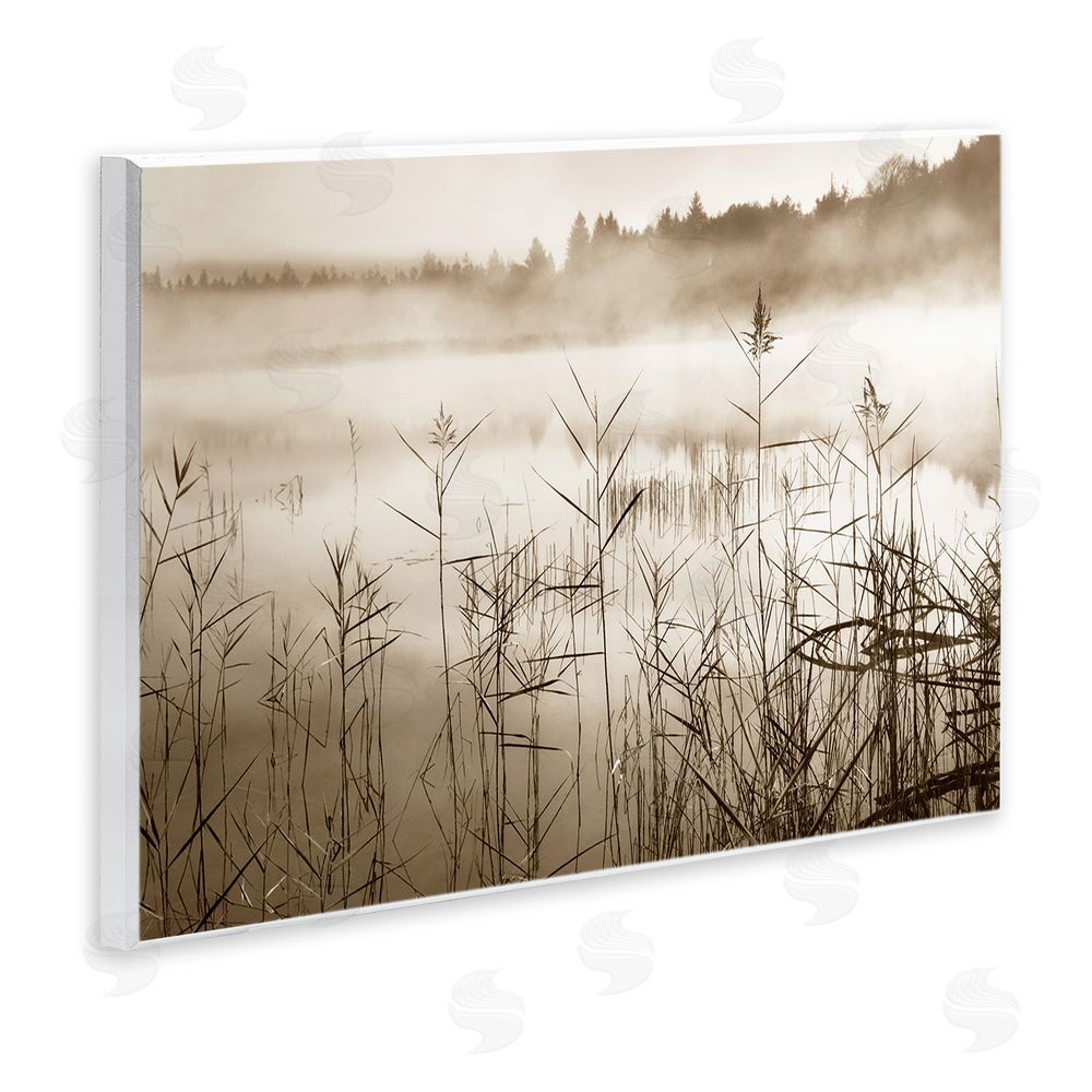 Irene Weisz Sepia Foggy Lake View Wall Plaque Art Print