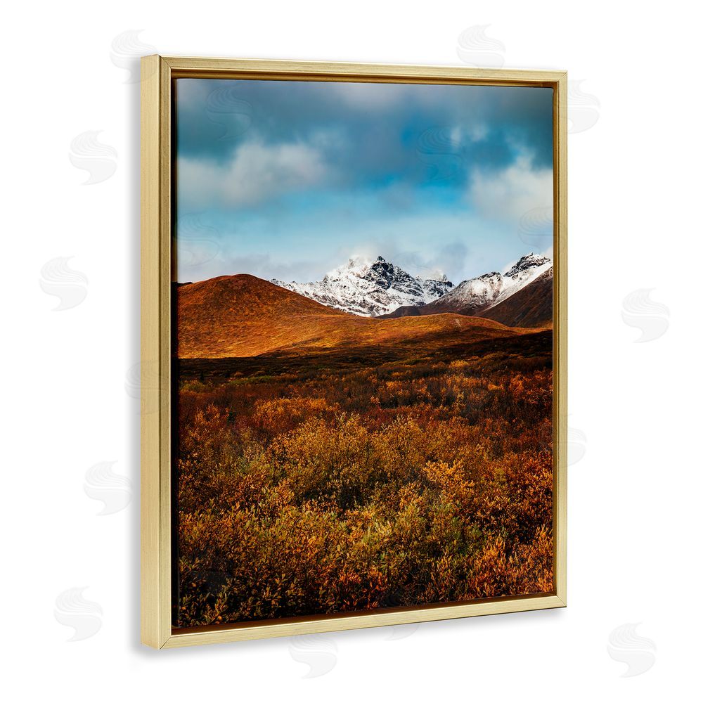 Daniel Sproul Icy Mountain Landscape Gold Floating Frame Canvas Wall Art Print