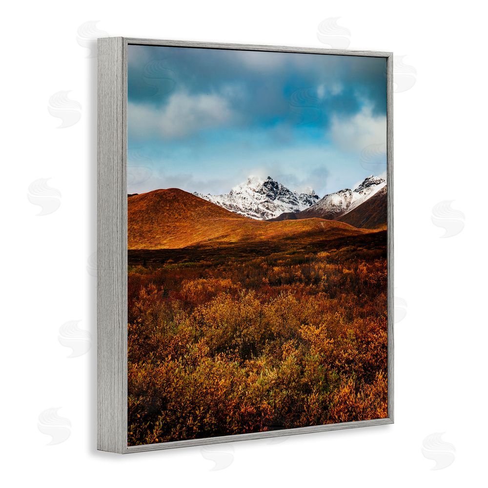 Daniel Sproul Icy Mountain Landscape Gray Framed Giclee Wall Art Print