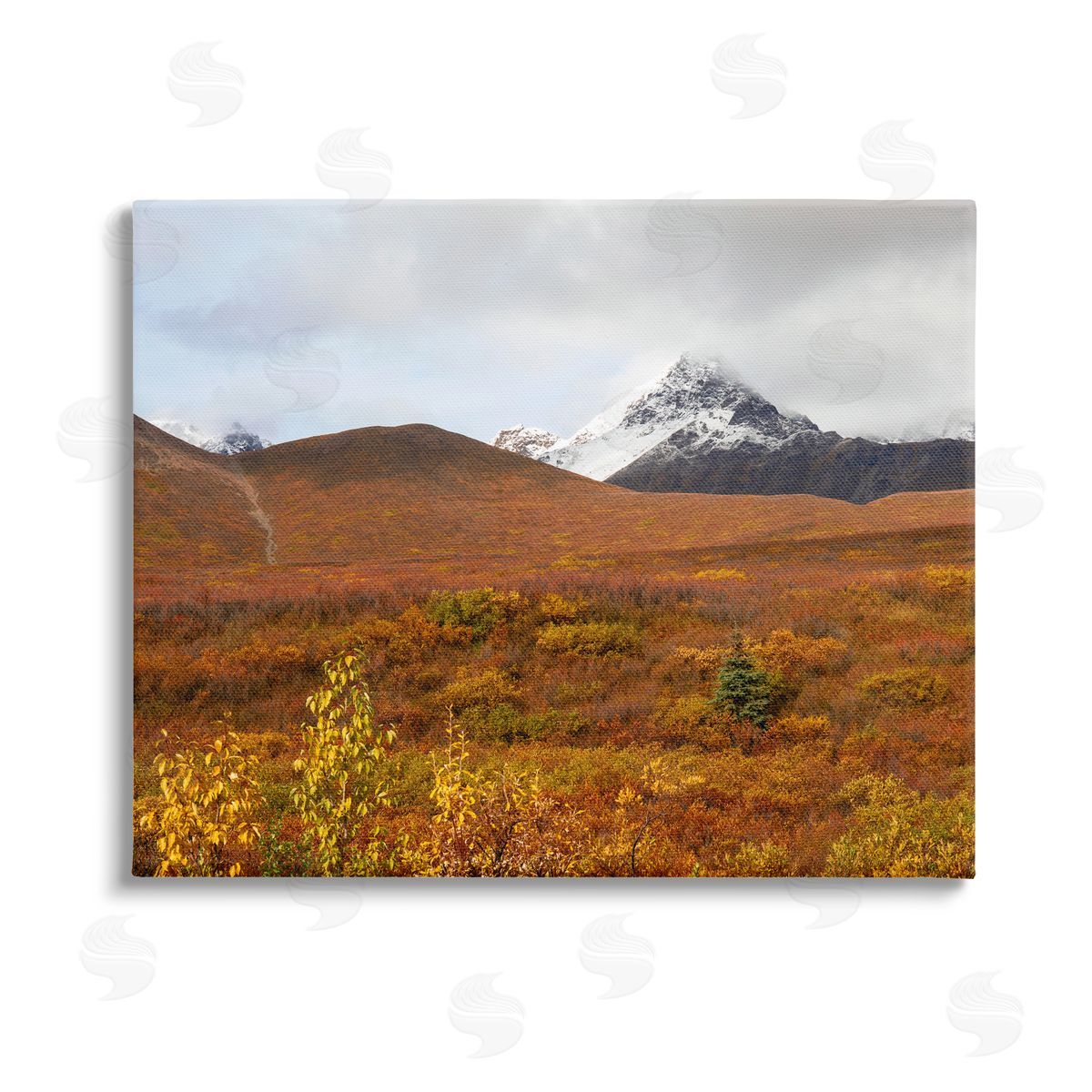 Daniel Sproul Meadow with Distant Peak Stretched Canvas Wall Art Print