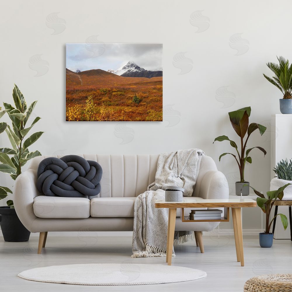 Daniel Sproul Meadow with Distant Peak Canvas Wall Art Print in Room