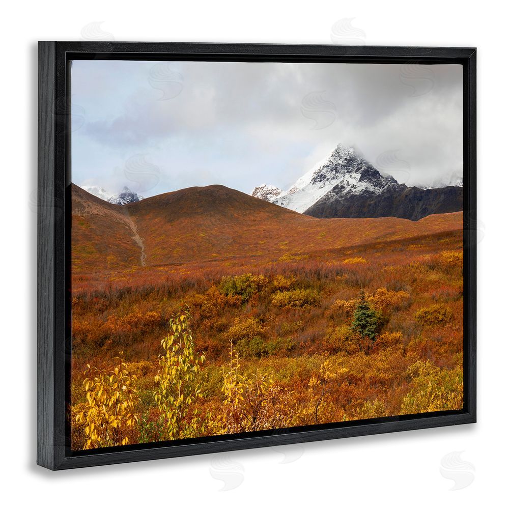 Daniel Sproul Meadow with Distant Peak Black Floating Frame Canvas Wall Art Print