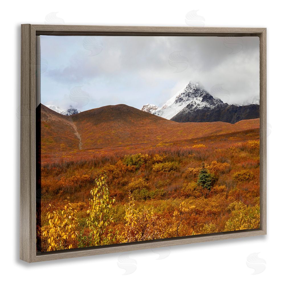Daniel Sproul Meadow with Distant Peak Brown Floating Frame Canvas Wall Art Print