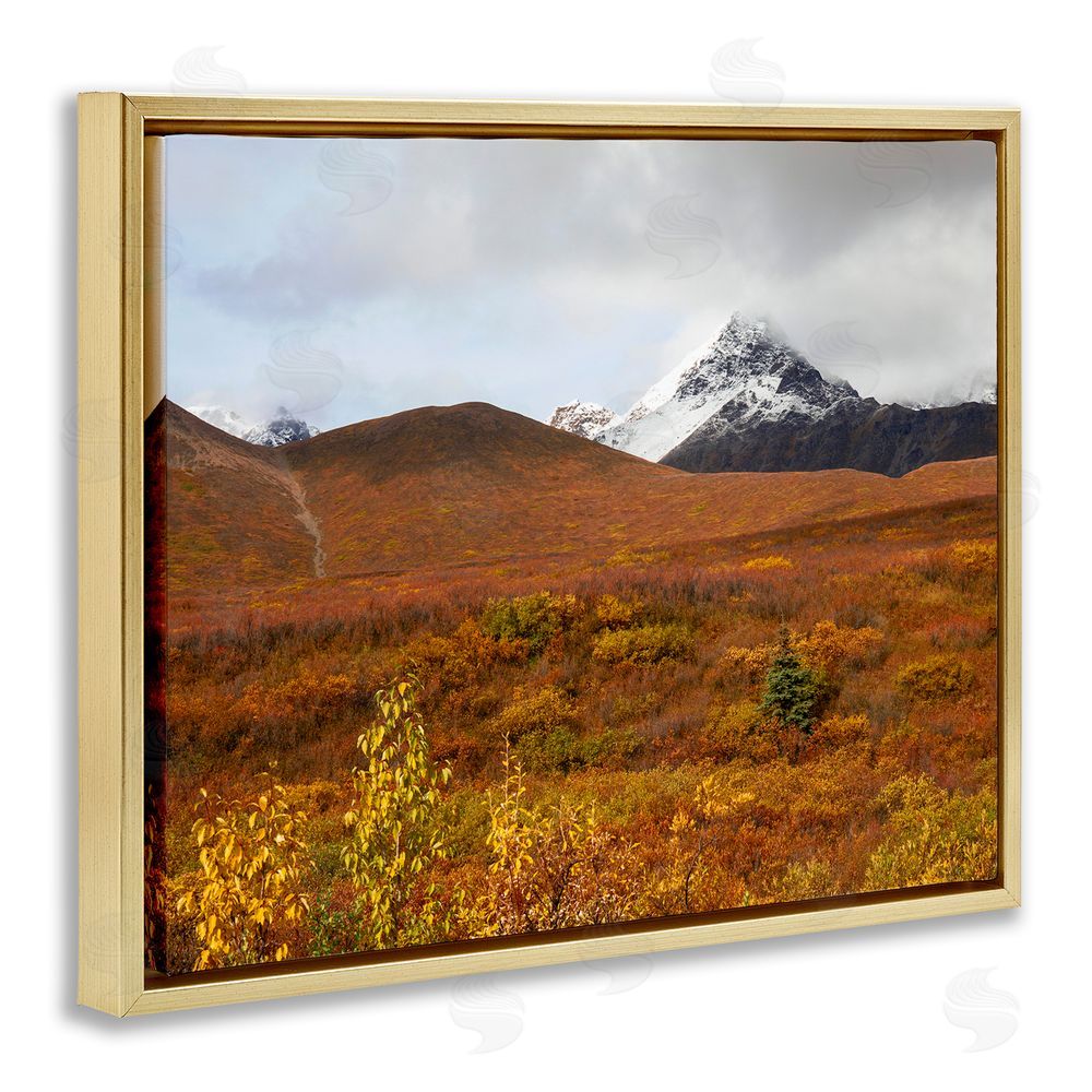 Daniel Sproul Meadow with Distant Peak Gold Floating Frame Canvas Wall Art Print