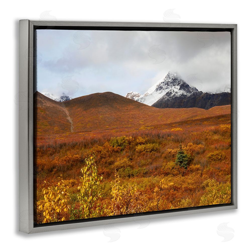 Daniel Sproul Meadow with Distant Peak Grey Floating Frame Canvas Wall Art Print