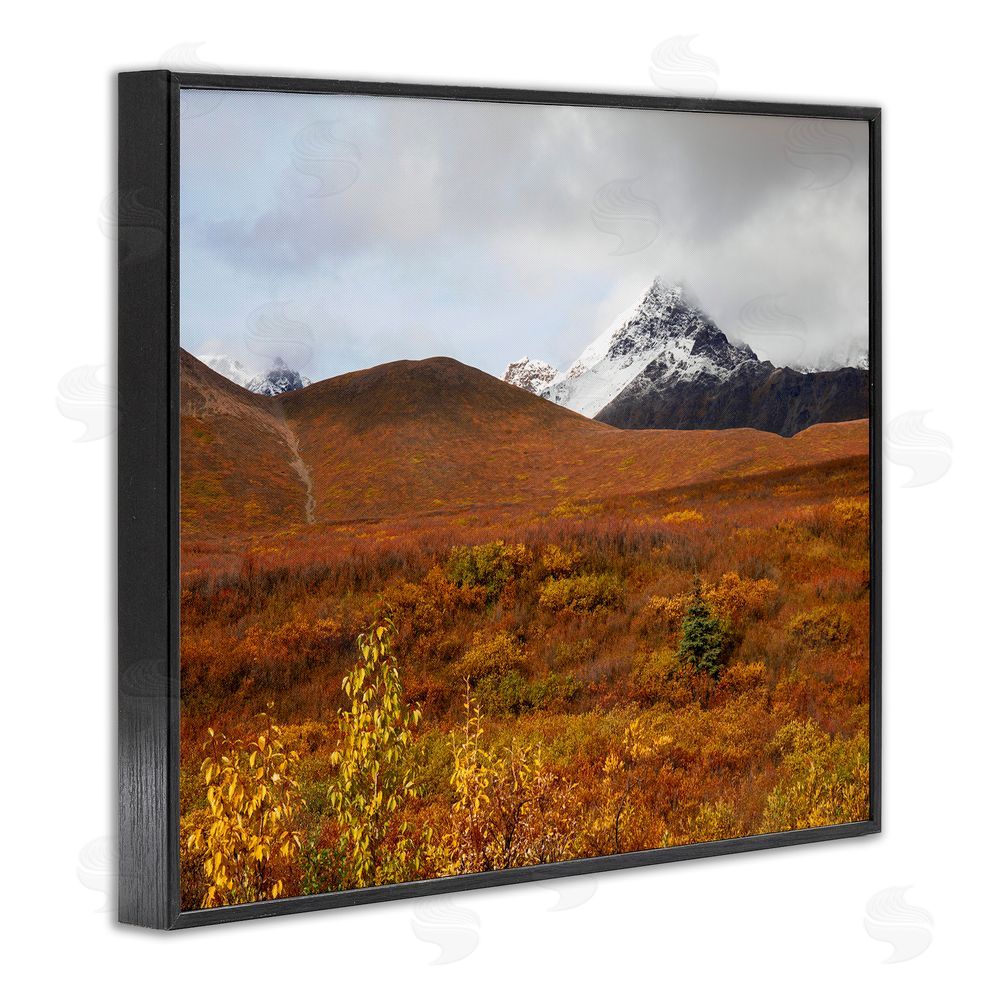 Daniel Sproul Meadow with Distant Peak Black Framed Giclee Wall Art Print