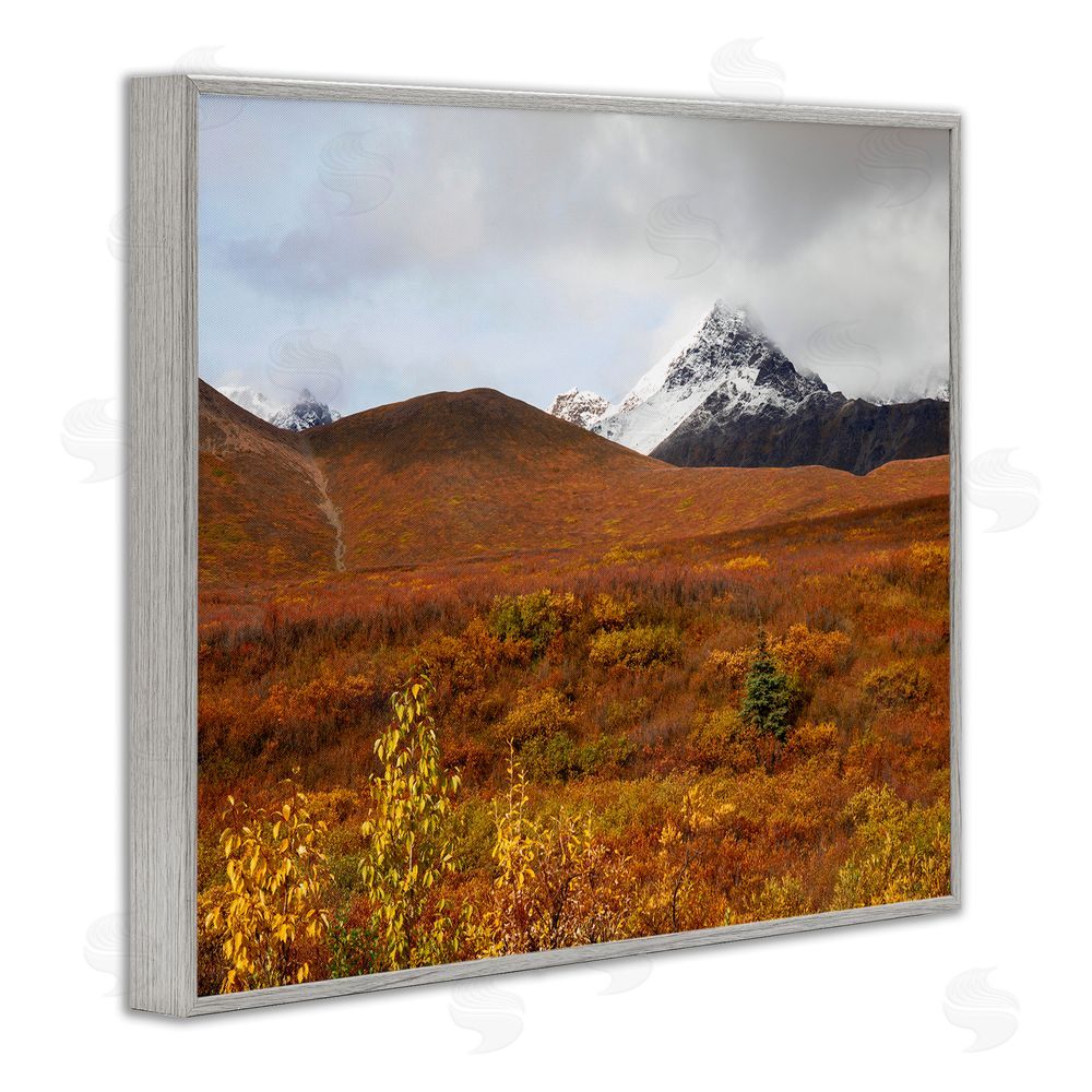 Daniel Sproul Meadow with Distant Peak Gray Framed Giclee Wall Art Print