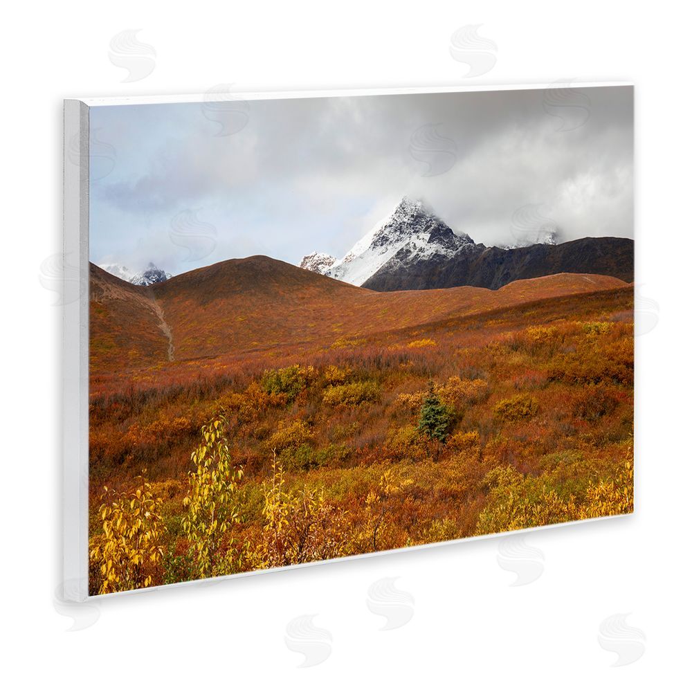 Daniel Sproul Meadow with Distant Peak Wall Plaque Art Print