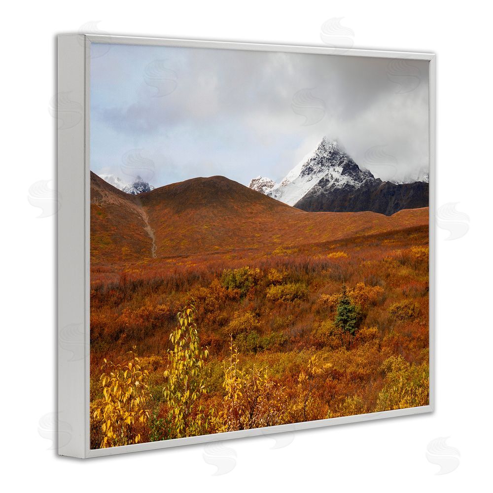 Daniel Sproul Meadow with Distant Peak White Framed Giclee Wall Art Print