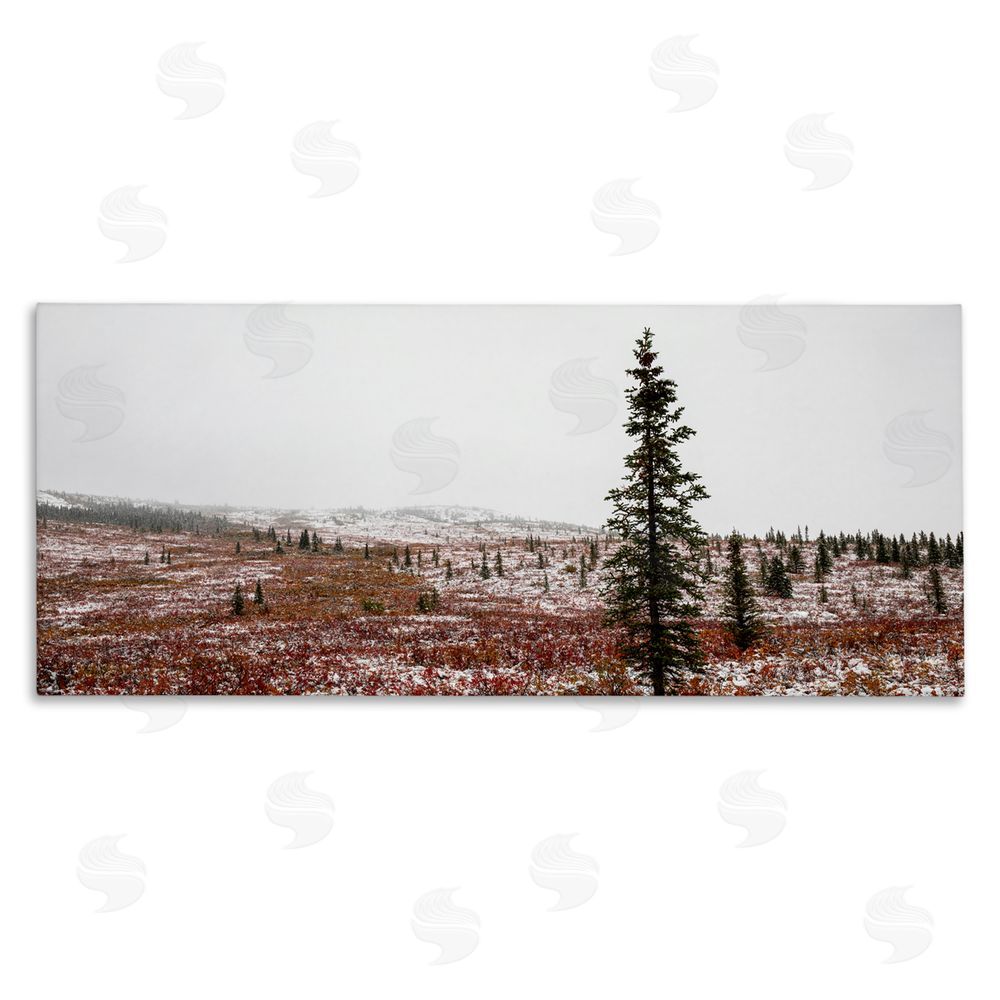 Daniel Sproul Tall Pine Landscape Stretched Canvas Wall Art Print