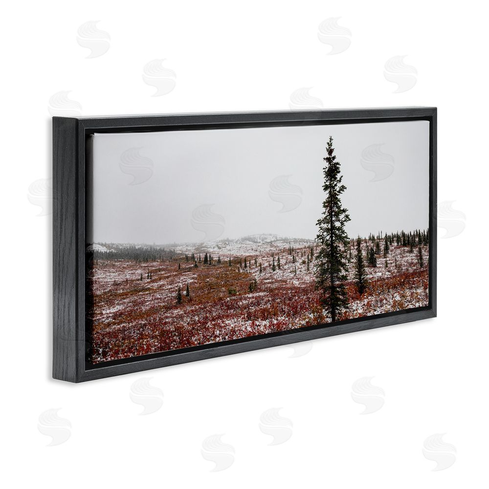 Daniel Sproul Tall Pine Landscape Black Floating Frame Canvas Wall Art Print