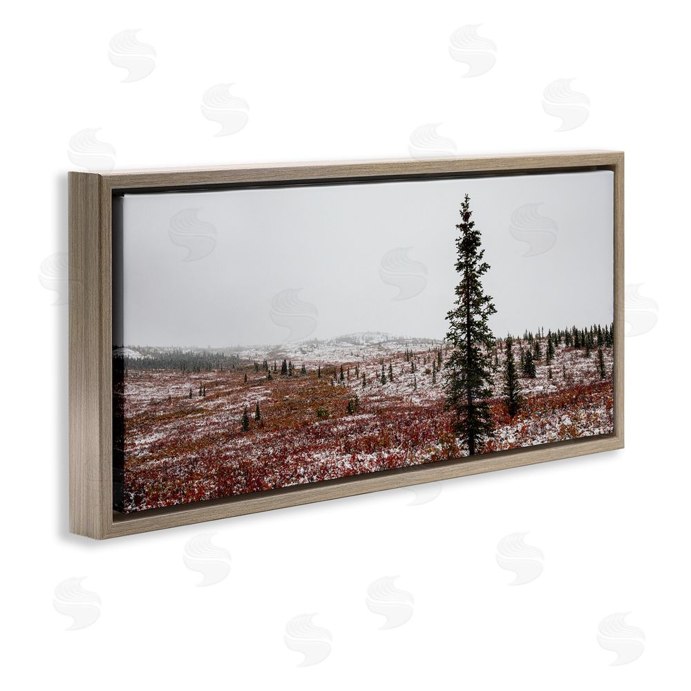 Daniel Sproul Tall Pine Landscape Brown Floating Frame Canvas Wall Art Print