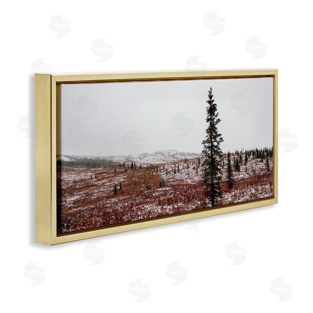 Daniel Sproul Tall Pine Landscape Gold Floating Frame Canvas Wall Art Print