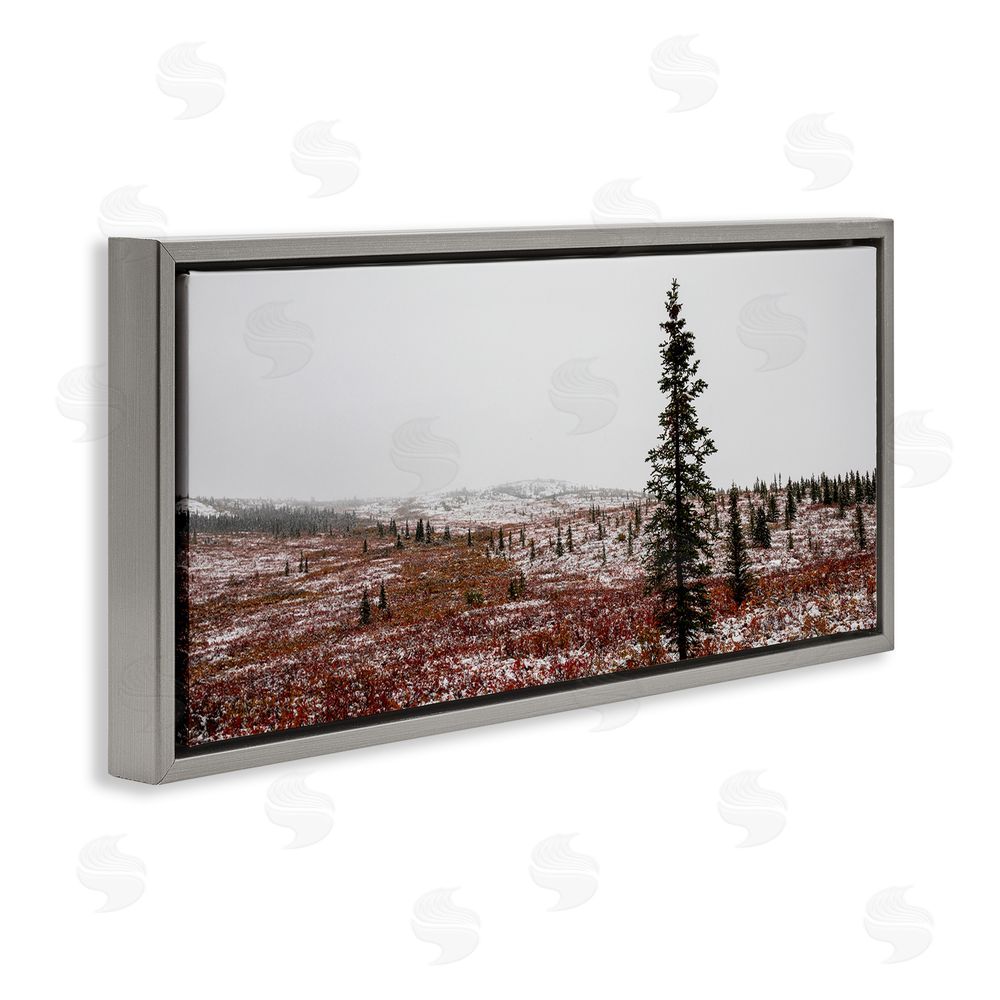 Daniel Sproul Tall Pine Landscape Grey Floating Frame Canvas Wall Art Print