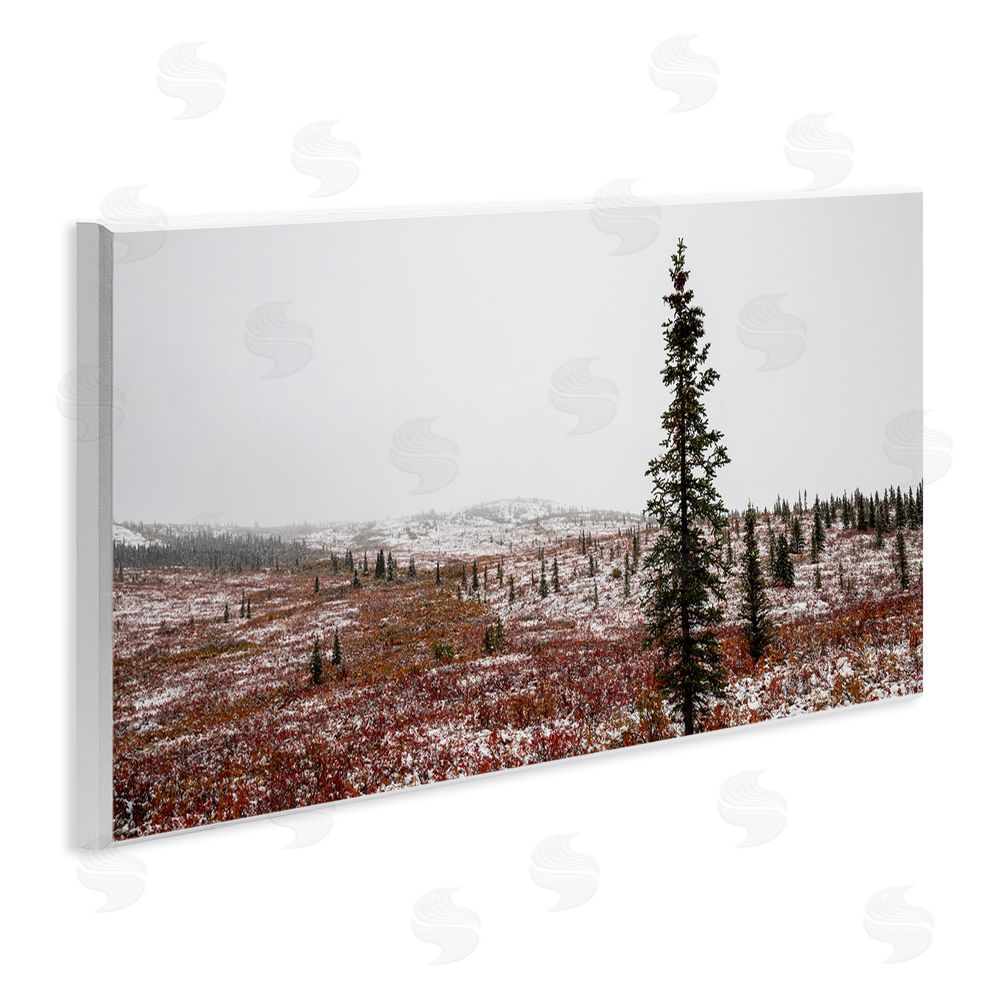 Daniel Sproul Tall Pine Landscape Wall Plaque Art Print