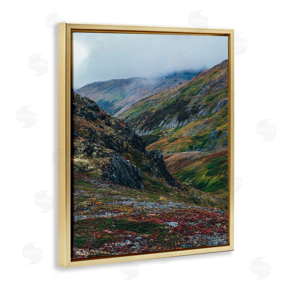 Daniel Sproul Mountain Peaks Scenery Gold Floating Frame Canvas Wall Art Print
