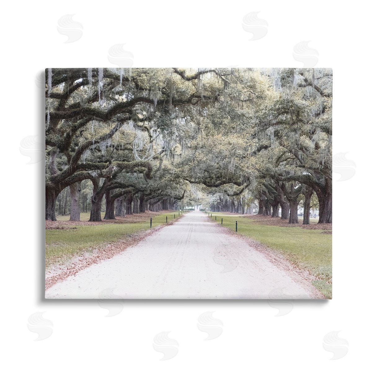 Ramona Murdock Tree Grove Path Photography Stretched Canvas Wall Art Print