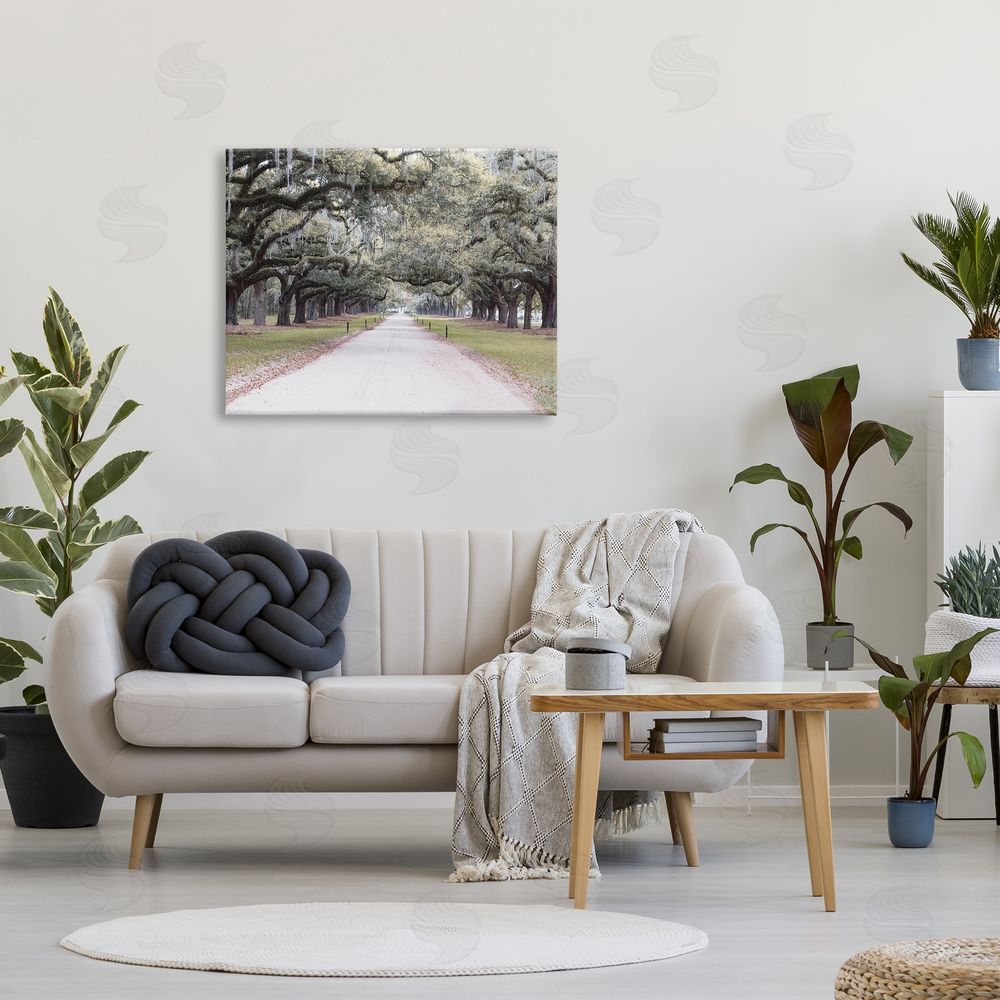 Ramona Murdock Tree Grove Path Photography Canvas Wall Art Print in Room