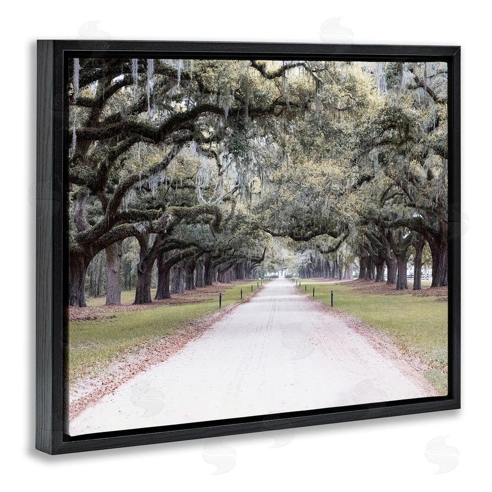 Ramona Murdock Tree Grove Path Photography Black Floating Frame Canvas Wall Art Print