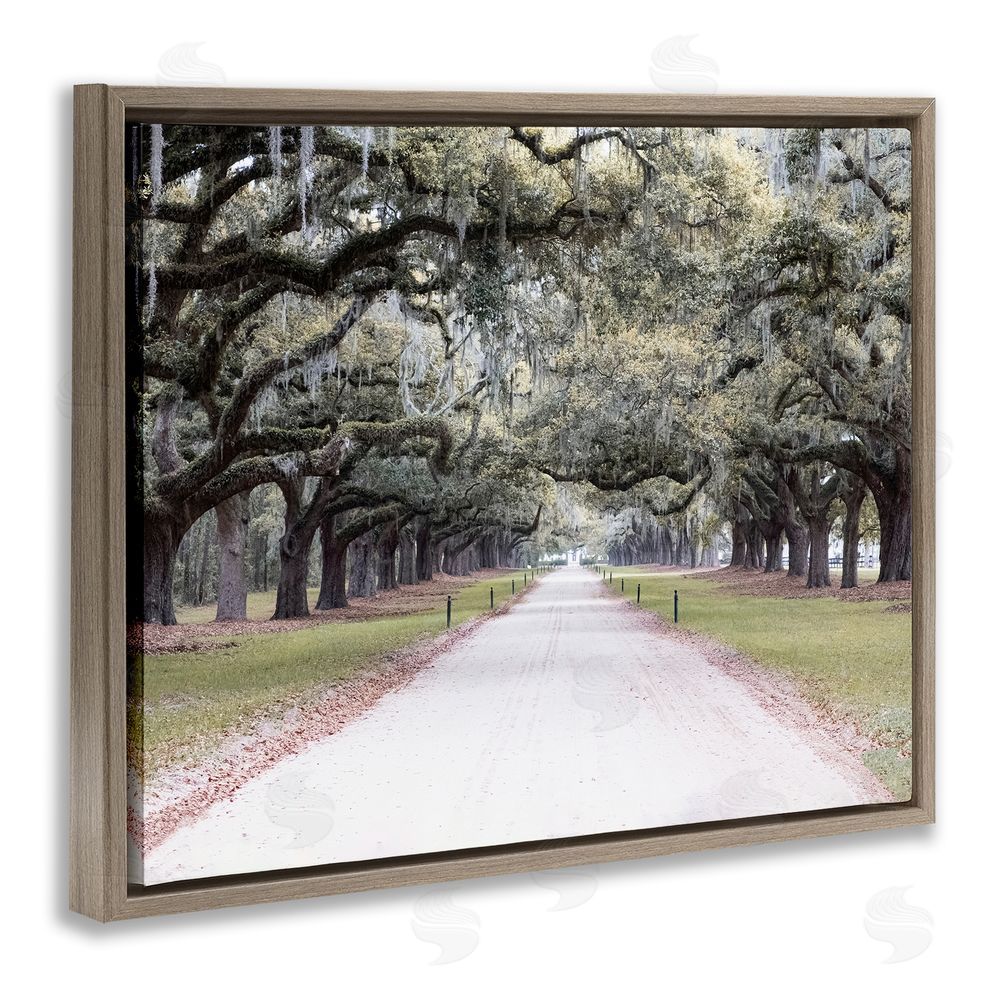 Ramona Murdock Tree Grove Path Photography Brown Floating Frame Canvas Wall Art Print
