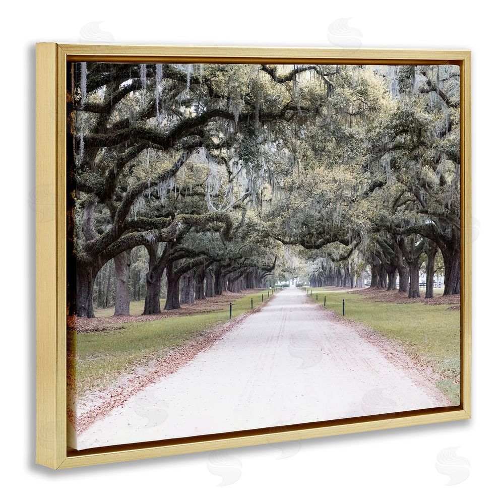 Ramona Murdock Tree Grove Path Photography Gold Floating Frame Canvas Wall Art Print