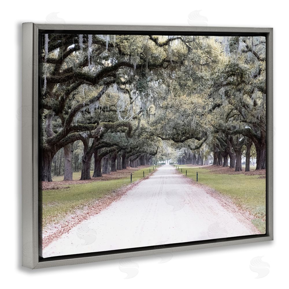 Ramona Murdock Tree Grove Path Photography Grey Floating Frame Canvas Wall Art Print