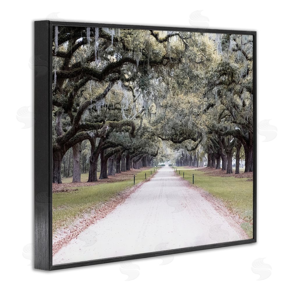 Ramona Murdock Tree Grove Path Photography Black Framed Giclee Wall Art Print