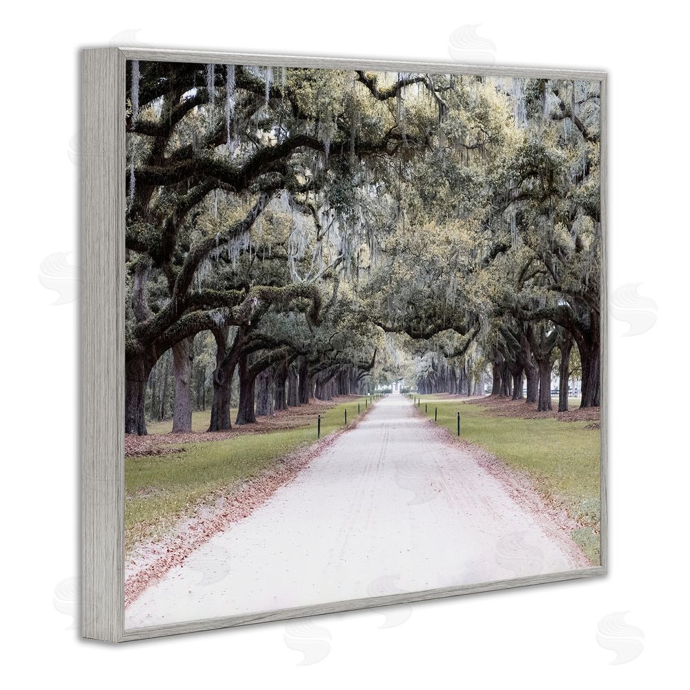 Ramona Murdock Tree Grove Path Photography Gray Framed Giclee Wall Art Print
