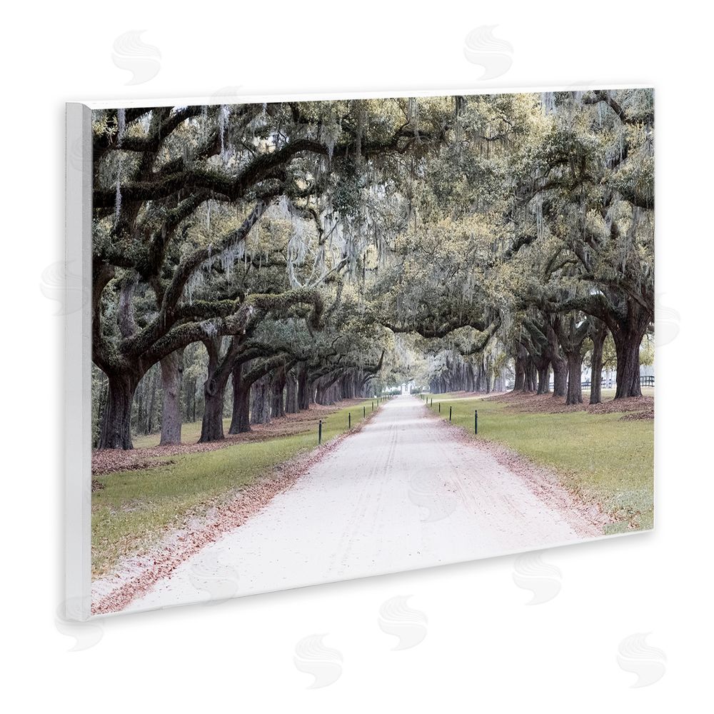 Ramona Murdock Tree Grove Path Photography Wall Plaque Art Print