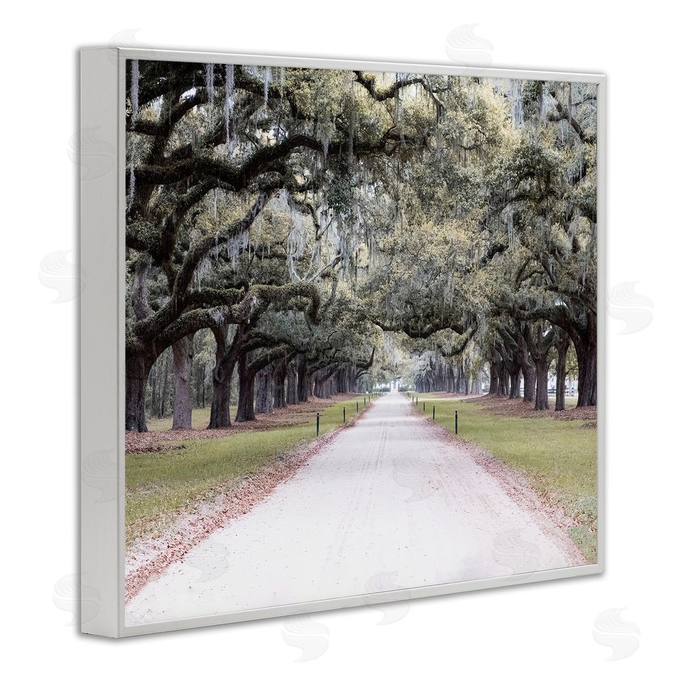 Ramona Murdock Tree Grove Path Photography White Framed Giclee Wall Art Print
