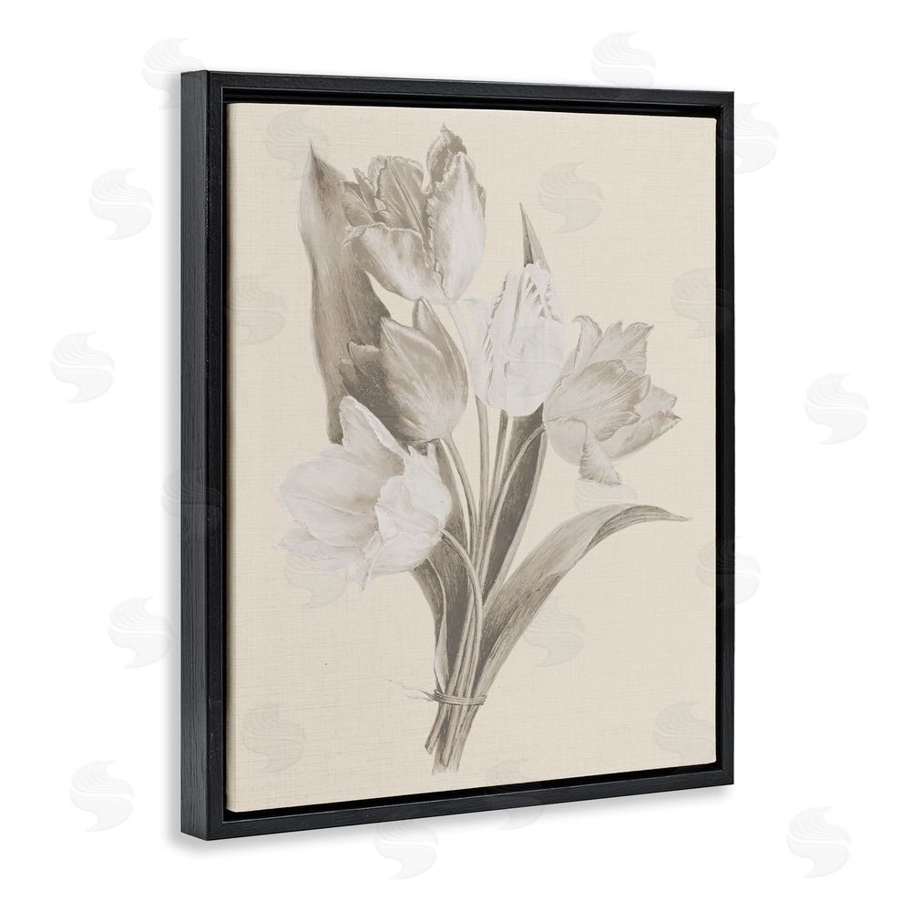 Stupell Studio Antique Tulips Drawing Black Floating Frame Canvas Wall Art Print