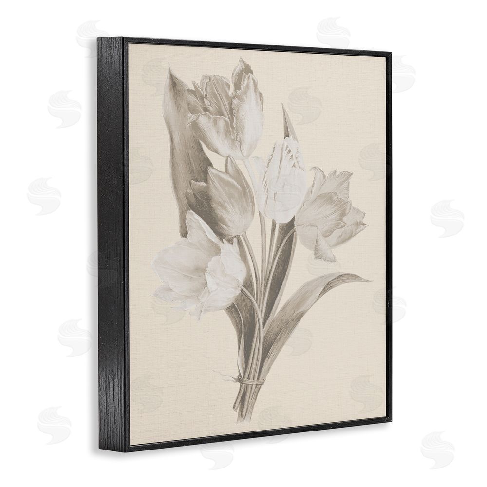 Stupell Studio Antique Tulips Drawing Black Framed Giclee Wall Art Print