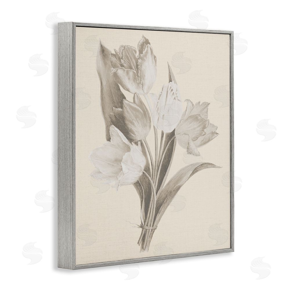 Stupell Studio Antique Tulips Drawing Gray Framed Giclee Wall Art Print