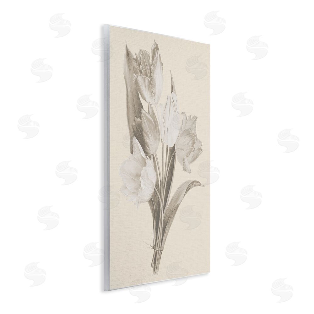 Stupell Studio Antique Tulips Drawing Wall Plaque Art Print